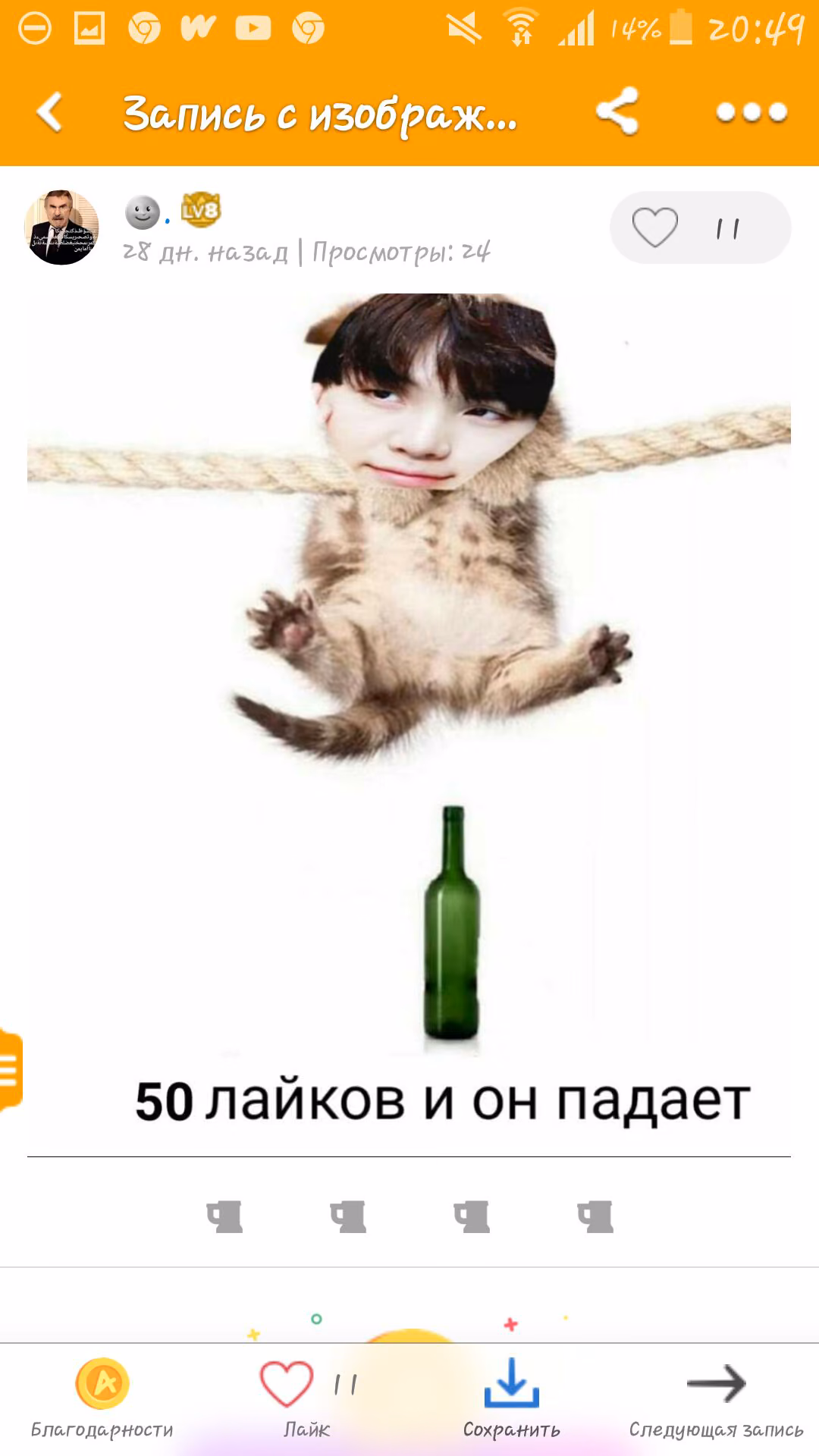 33c3759d28fe9758c6c96703e713137c.jpg