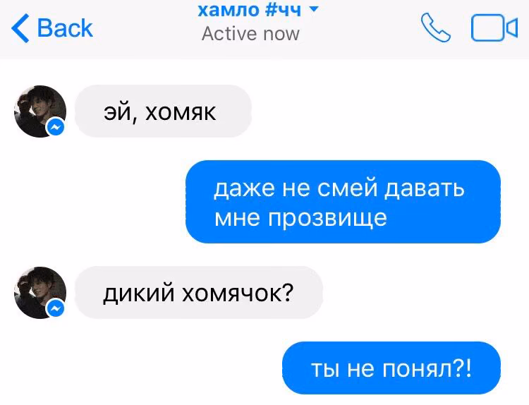 33e707f7053cf3cea58ed3964b402840.avif
