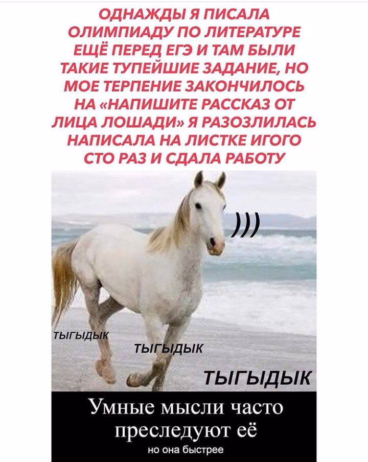 33ed5445a78260935eb6f537e4811dcf.avif