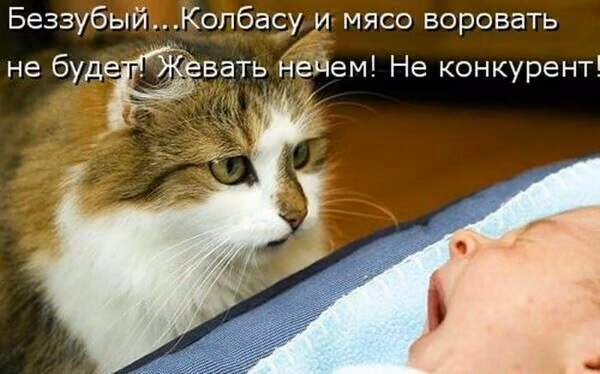 33fb14e0842f8f0a9afcd50b8c42fe94.jpg