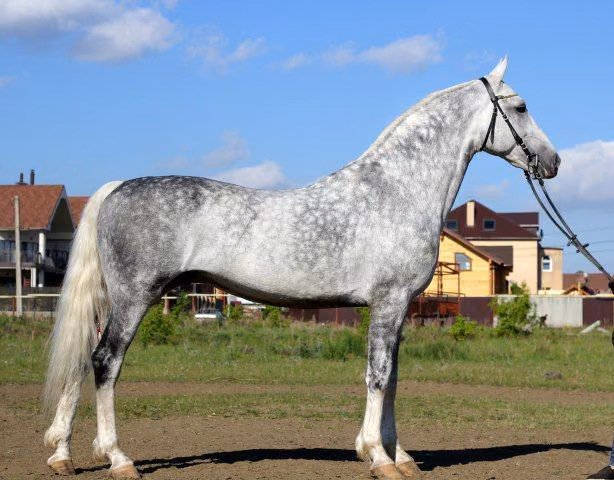 3400b04f59cb3c5ded5228a46da14609.avif