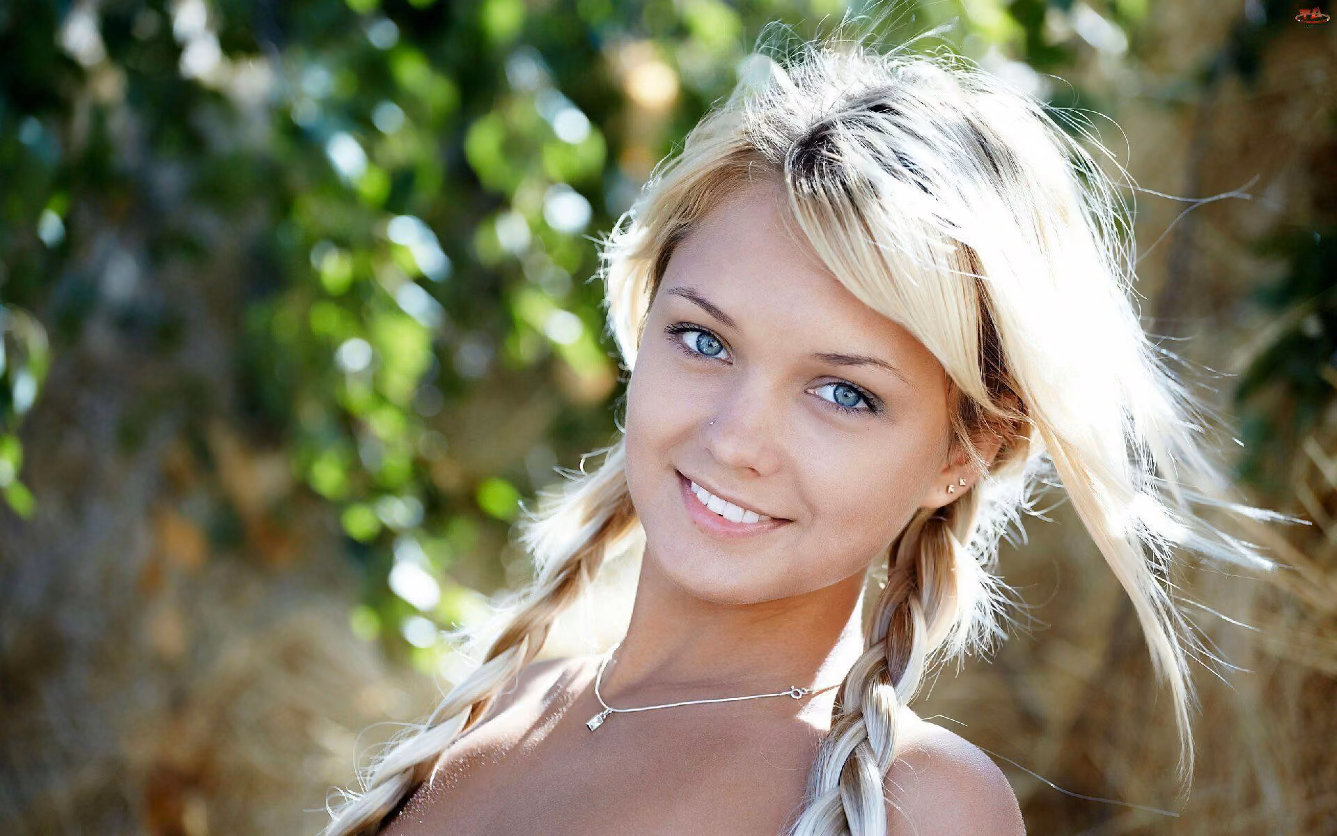 3401ea6264b08c58a4db94102340efdd.jpg
