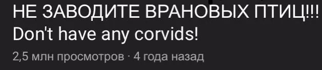 340786d2e749cd655495675b3c3b25d3.avif