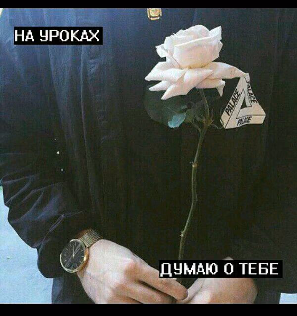 341f7e2b66c841e705bd0f7d7d180383.jpg