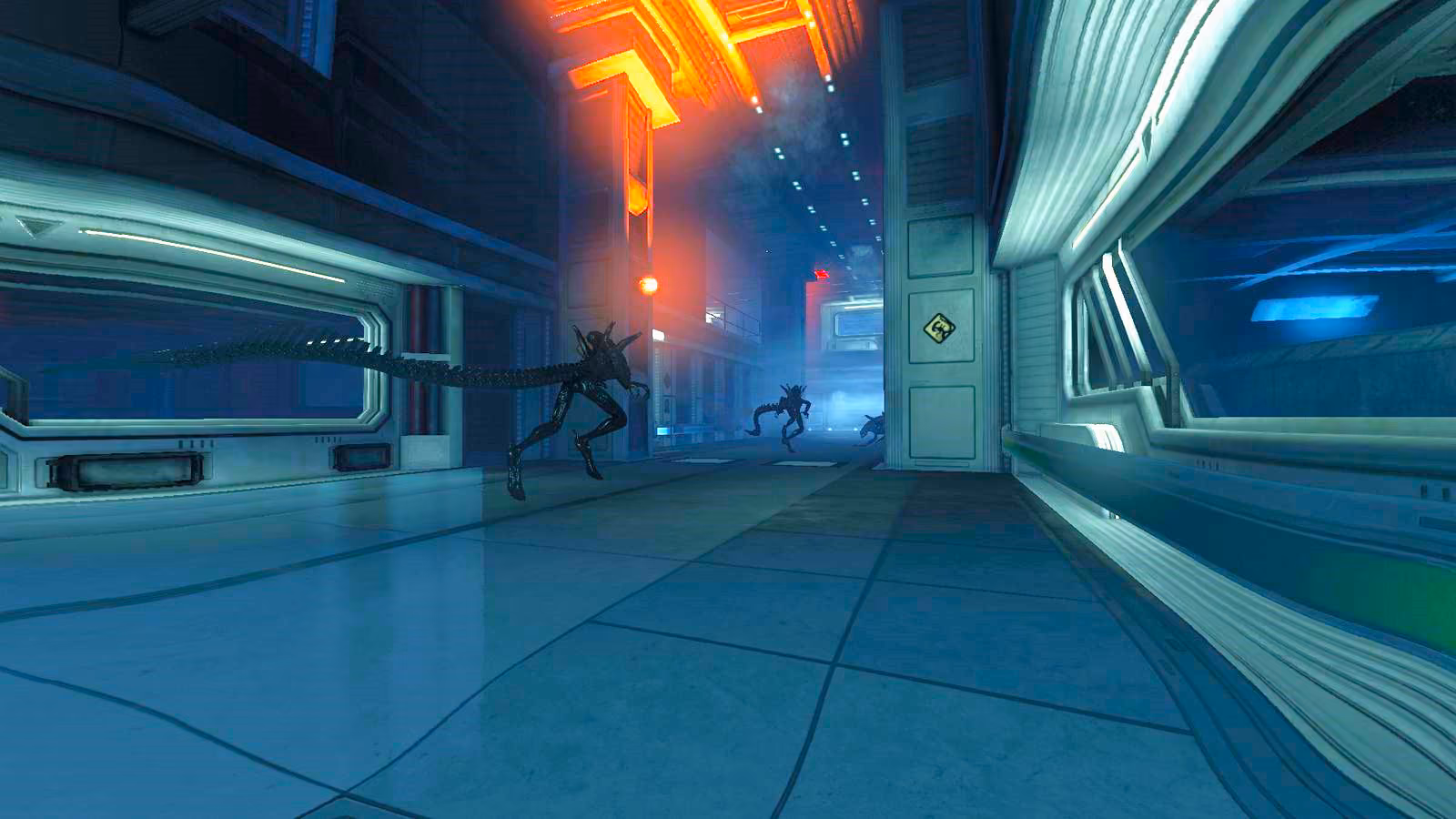 aliens_vs_predator_01.jpg
