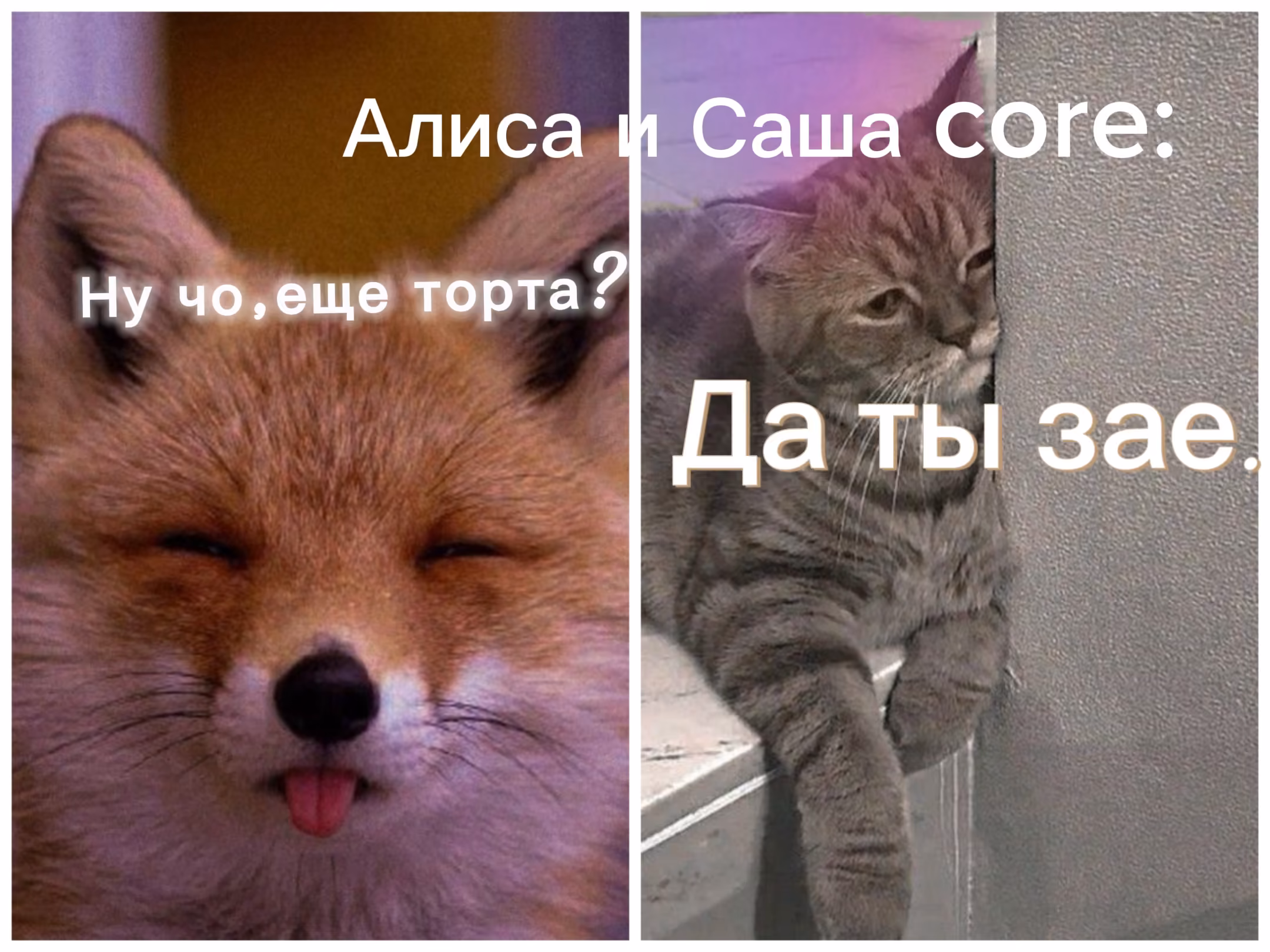 6qDJ9sS5bZPGLXhruJoiEre2I6kSeJmqr1IpPUlF.jpg