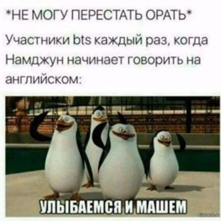 3444408b8fc82e89a96d901530c51e1f.jpg