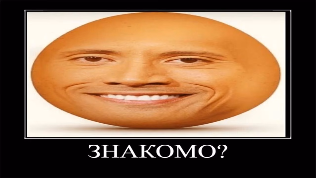 1G0jjFTfMXCWQ3As7b7kCyZnNzm1fr63UyDaQujZ.jpg