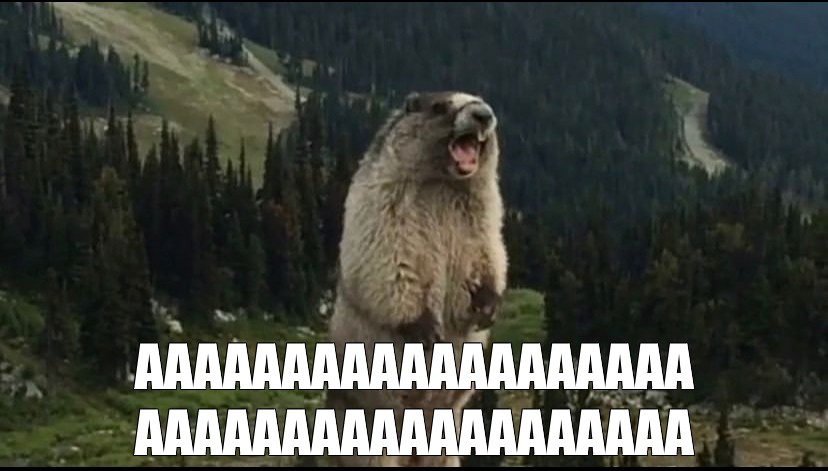 s0JzY2I36O8qJa1QvfC6Gy0aNNmjpG4XMrsLujfK.jpg