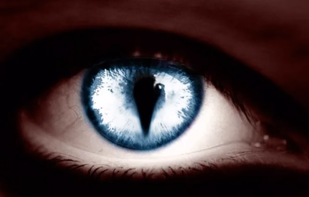 zm8Sdq5IFqZ8WoTf4i4hAdyS8YhxlIG12sEjUEx0.png