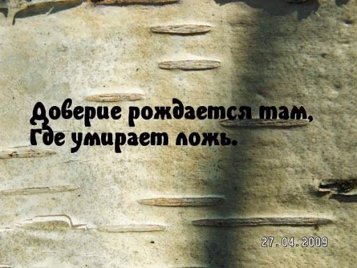 3453f5f564d083df85f3a1d4a0b14fd8.avif