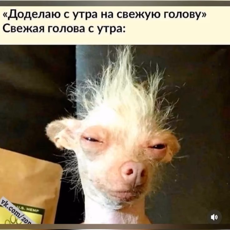 jOo7VaxD5fAsCZ2HwcS2YXcKtBZP5D6DZPS2R6Pw.jpg