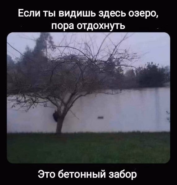 3458b43ae16079690be48031023af25b.avif