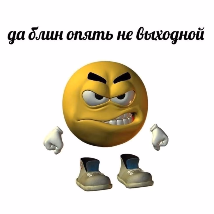 zCAQaRRL1sjnWV40Uw1hcqmtwb2Ks7S7WuVoognV.jpg