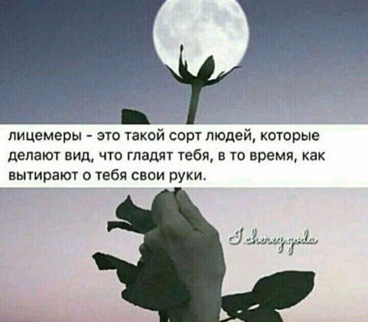 345c917f06002df9ebec33ee40de62b8.jpg