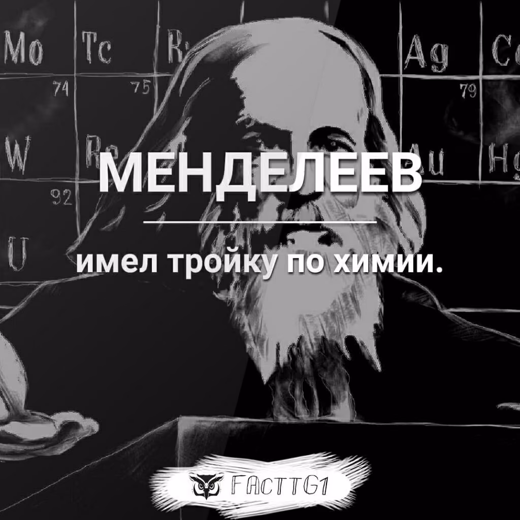 3476d7f06eb2ebad5bc6fef38d697577.jpg