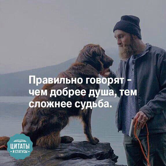 348715ee7e20b7c166d90d3d1a3b3df5.jpg