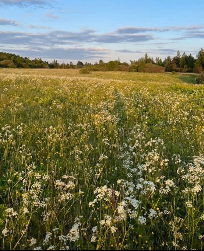 349d5c4922af337aee23e4138fa94fab.avif