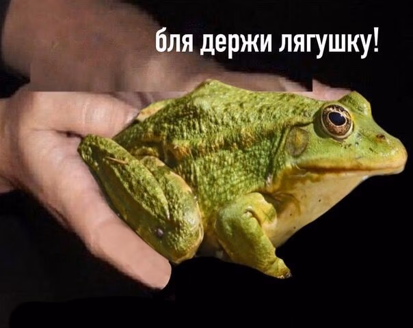 34addfc49318c8712d72220f51270737.jpg