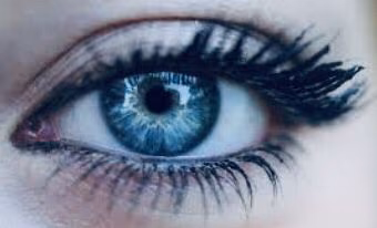 34b0f7a9454ffd5335f9adeb62c4f34b.jpg
