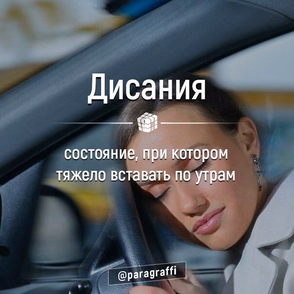 34b1e3778c5129012d28dda608256e13.avif