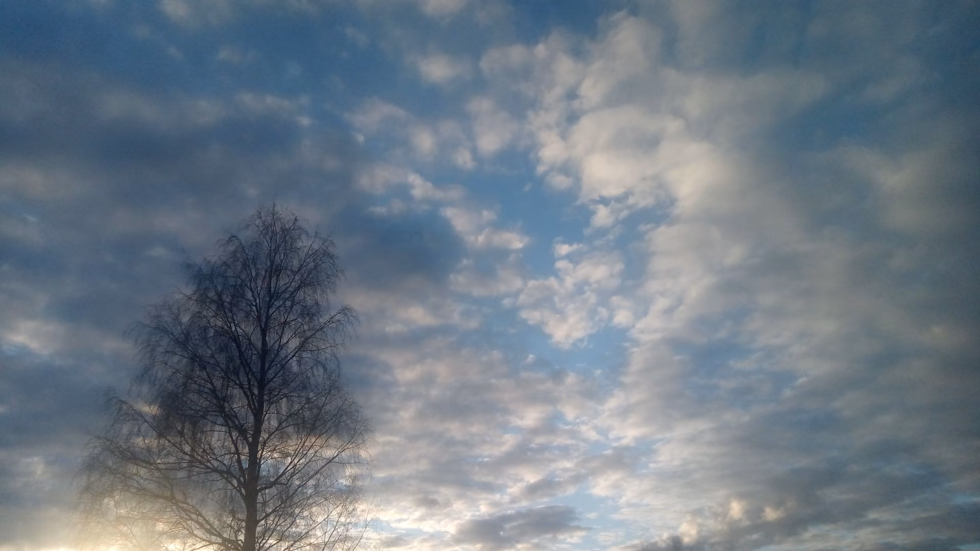 34b82d468c50ed5dfcb8c9592f1fff45.jpg