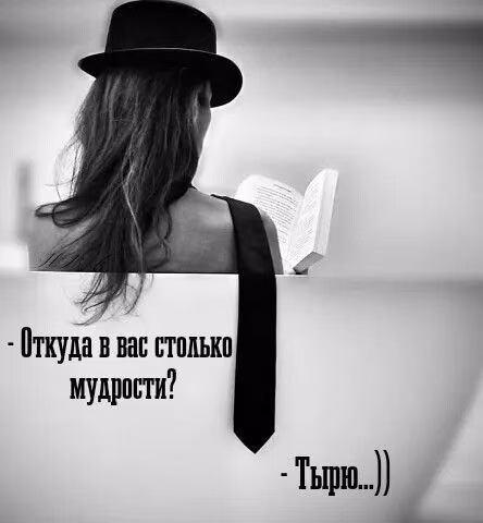 34ccdd647c6a63b2d538043271489d4c.avif