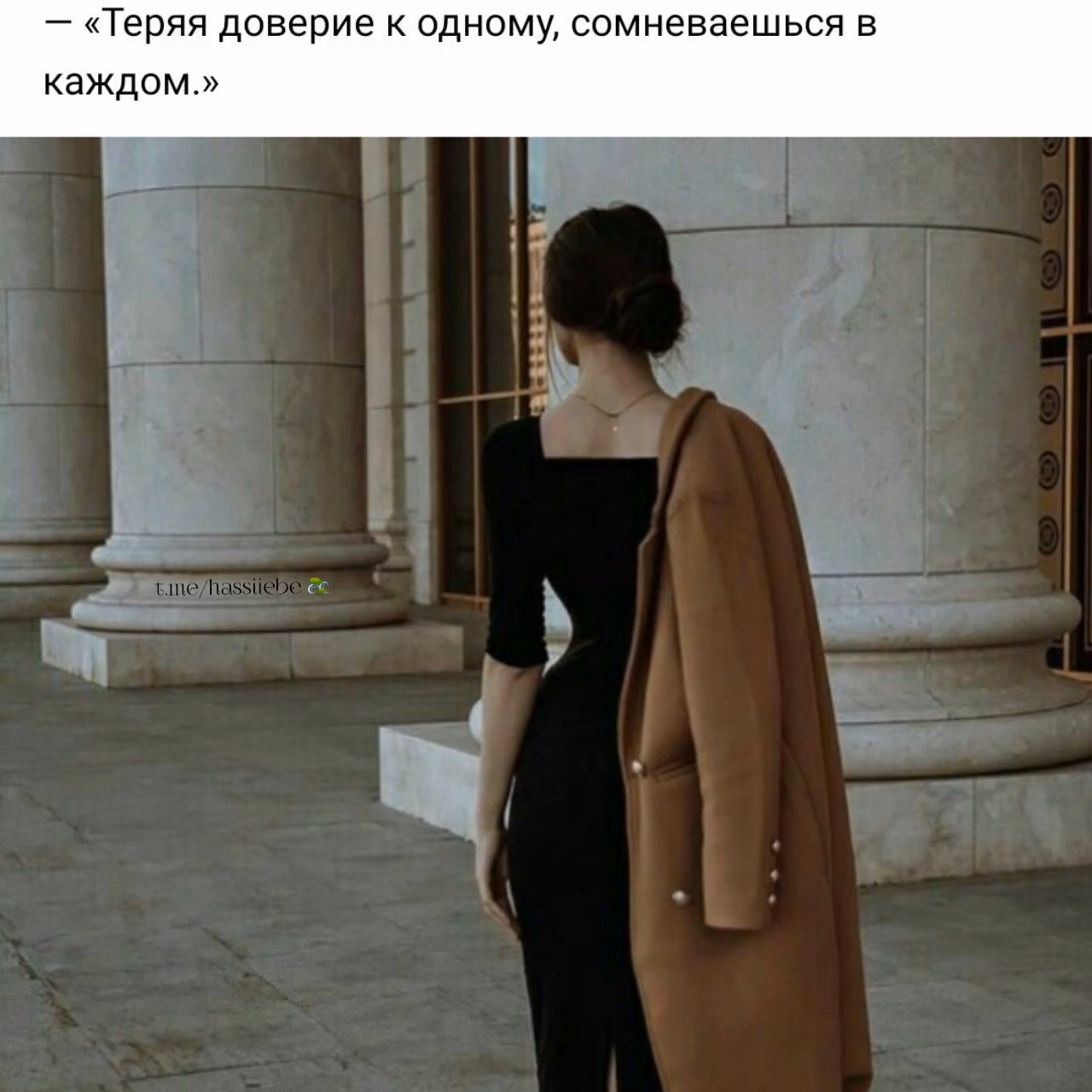 34cf4f30a41f29cb1be560b3db553dad.jpg