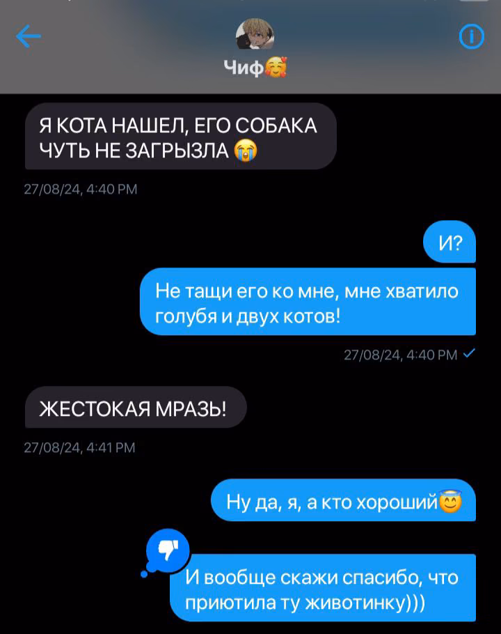 34e9a9fef02d2586889dd621a495b08e.avif