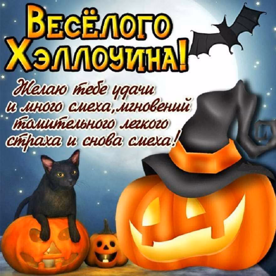 34f246696b74d1d15abff752febaa25f.jpg