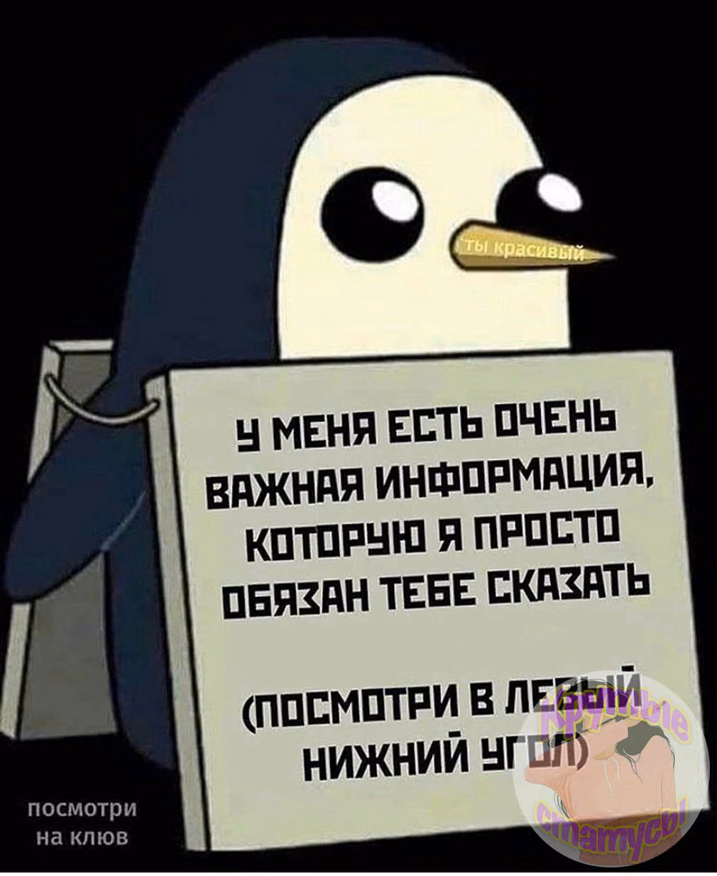 34ff9acdd7fb1bab3bc702fc93c7701e.jpg
