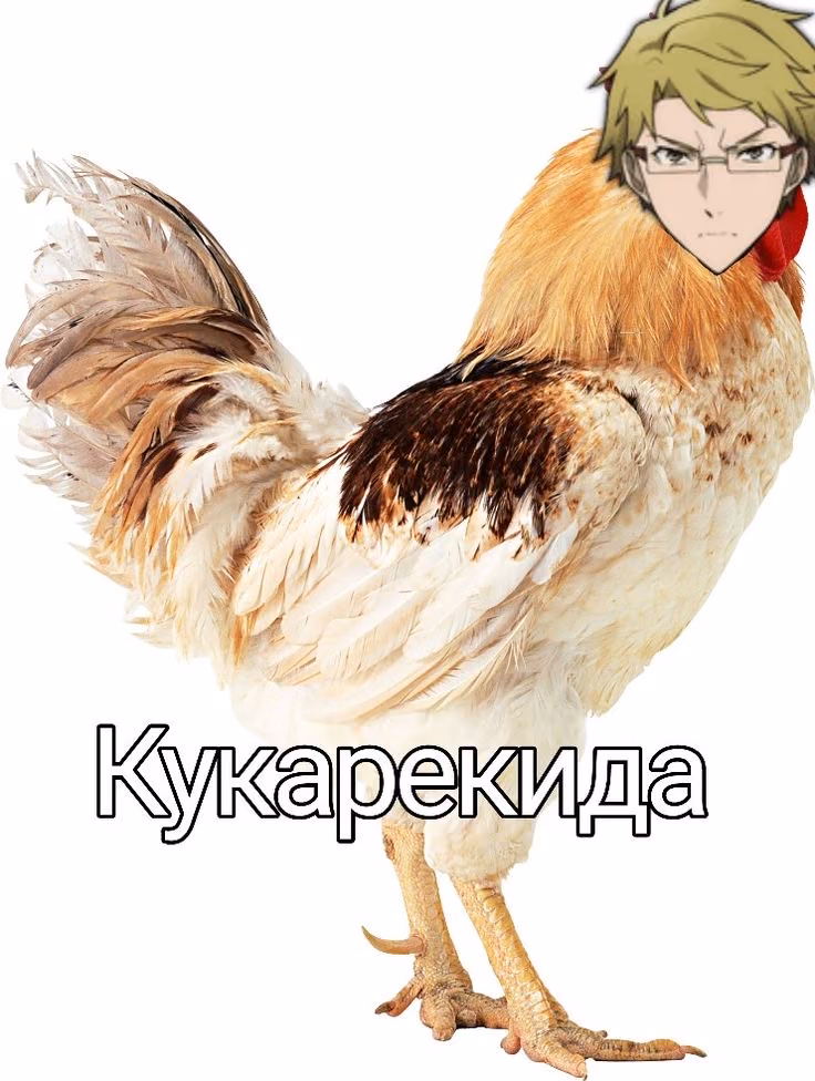 5g9FtZxiN2yXjteOxryiFWVINyJywsqSI4DvHsoa.jpg