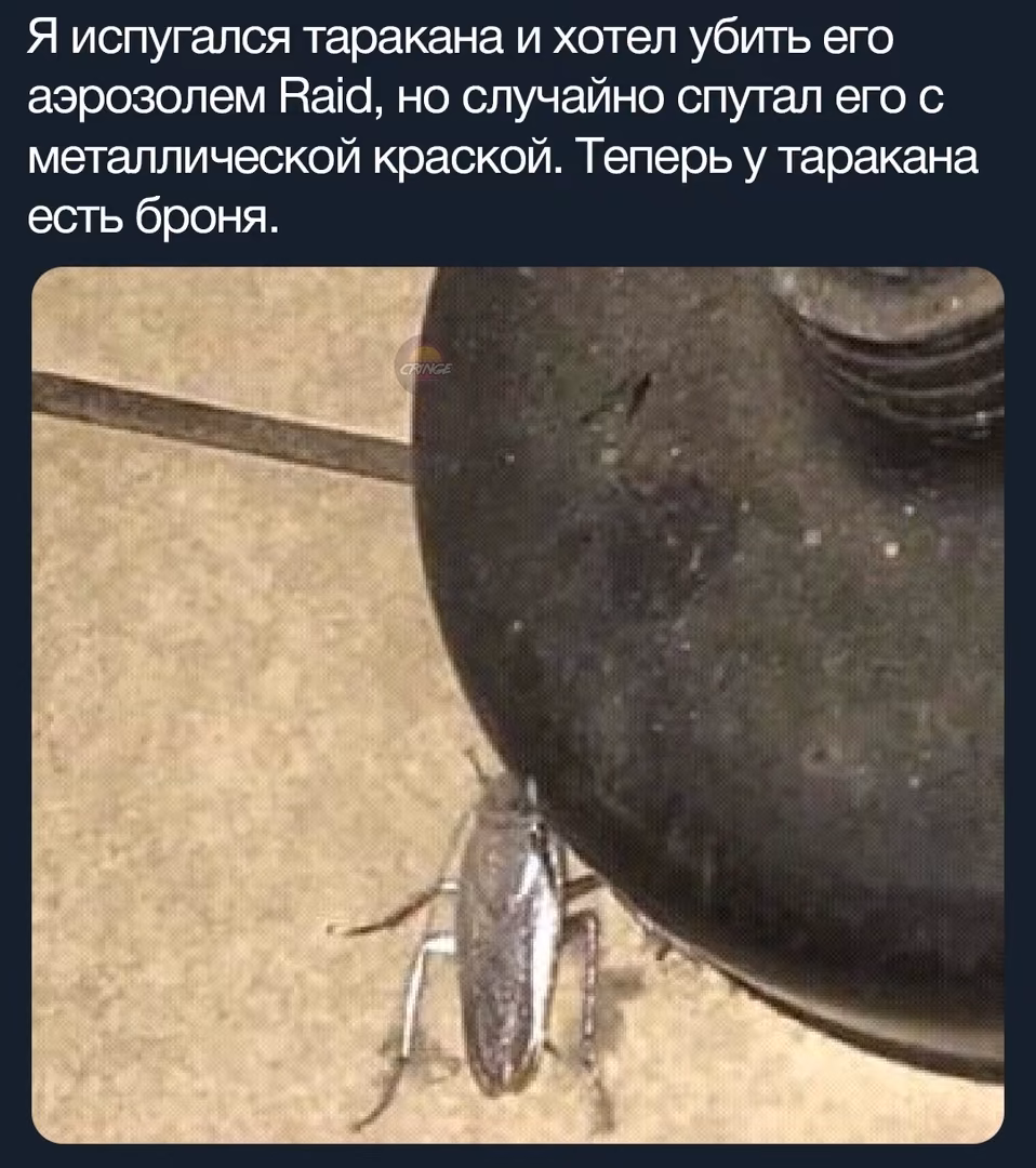 yU67AtW4THxHCBYd4lbEdmNGney3wl4lZ55blkAC.jpg