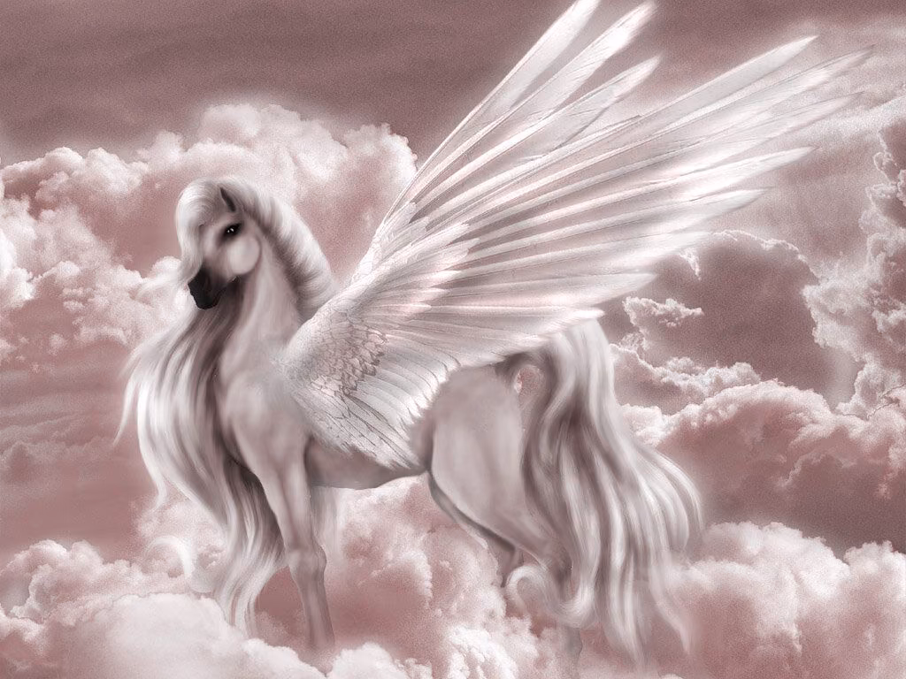 3509aa63d2cd058d6ec37e8ed4010994.avif