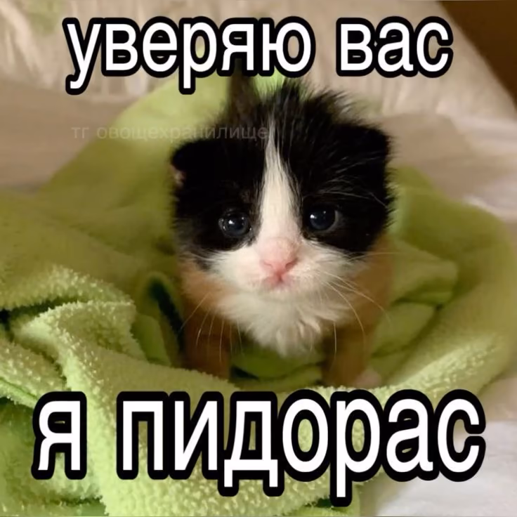 3Vxcak21bIZZ2ZT37nuzYcn4fafn10NhjcgwLMHG.jpg