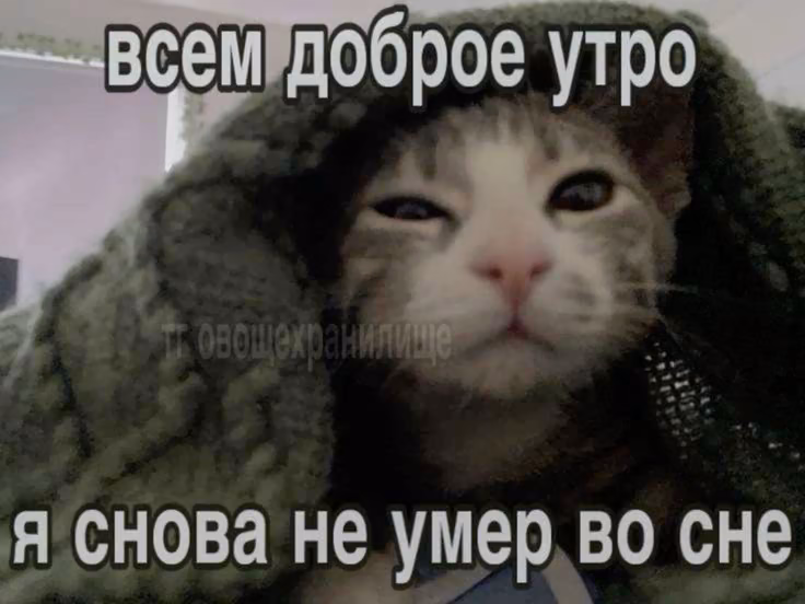 82S9N5qsR8nNC4Mp7RvyDu2o6hVibsCVK3aJfE9Z.jpg