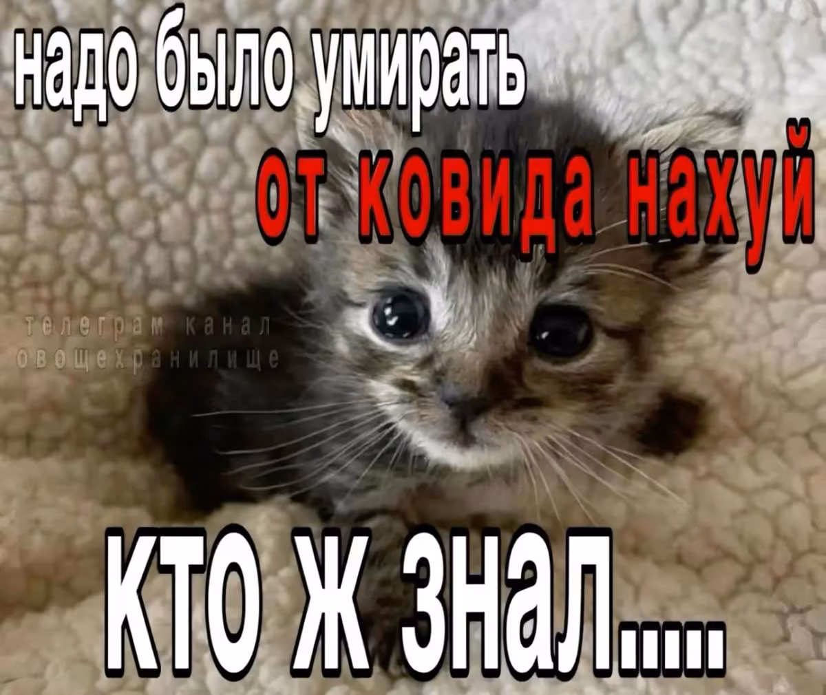 8ssdhIzmNvD9bKVrRmfNZYRE0XS1GcbioMgAWovJ.jpg
