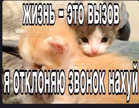 EAguXobp0LxHyYWQMf97QCm7PrXNCQ0jmyUCZ8QU.jpg