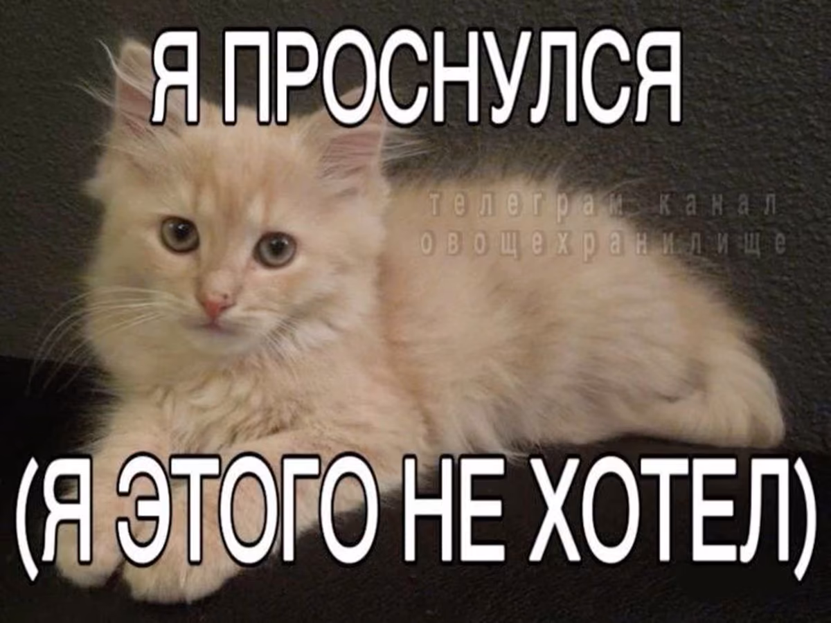 GyxKVW0BFAX6pGMbnuofyJHazgdsaRqsWsPrbBVH.jpg