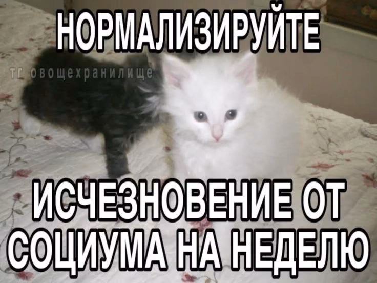 QTBoHPPuEFT2C3E7q1nTys8J9t1XRjT08WnF0bjr.jpg