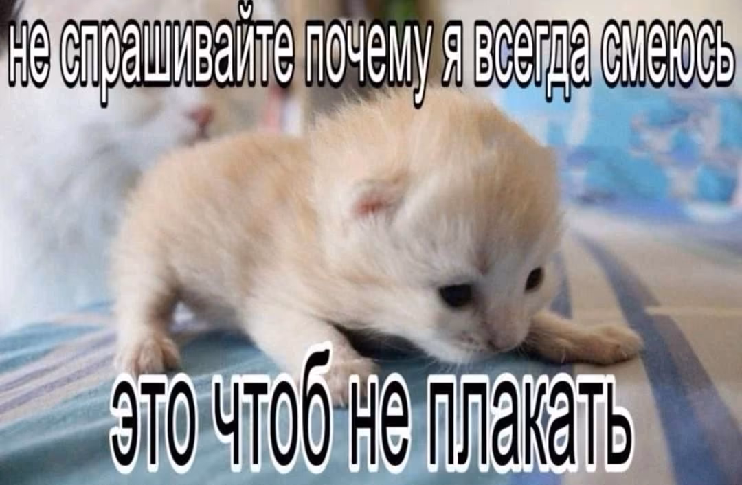 VseAnlFFRrVWF67NZyDveyZk3fru0OOyv9vsnmCk.jpg
