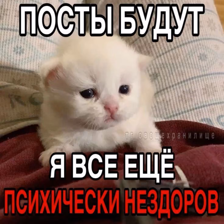 YKJ7VAtL54d7SkBobapotB2qOeIPhf56YVdqNSg3.jpg