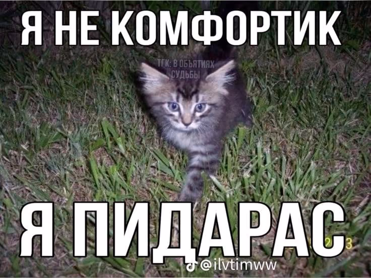 YmSZB1K1cNUln3K3sE4d2mOBbp3NrvHpyjTQb09x.jpg