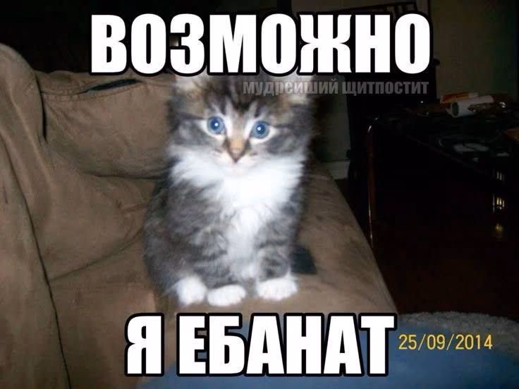 dadnG4jgQknTCyh9EG3FEfyuXUWVIasWLg7lkRy7.jpg