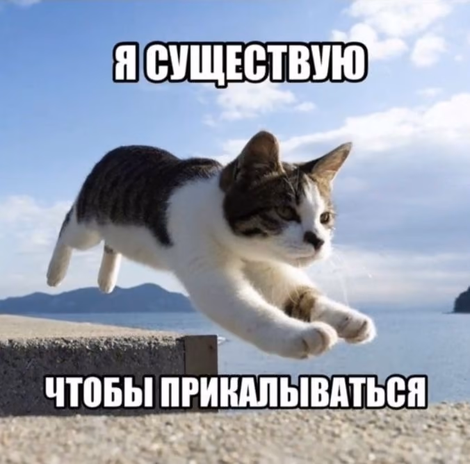 lAsdqmIbrcKUPrqNbEc6abeeUZPPphkw2sCJbxKW.jpg