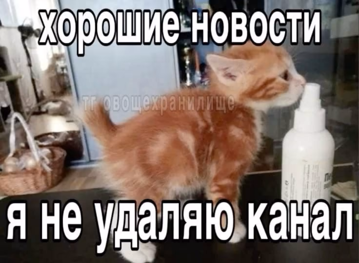omdsaaw3jQBBi0Xn9L2EUH2RgYN93JIKX4ByCx4f.jpg