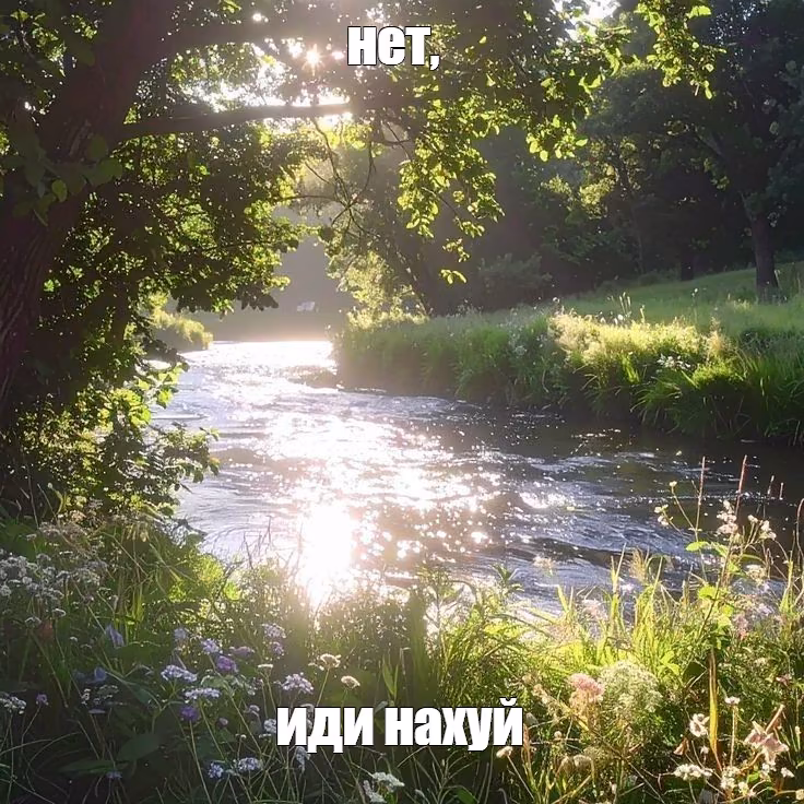 wtR3vNlci15m2FNND7eGEhRXdr1TCbwJsdxs49IE.jpg