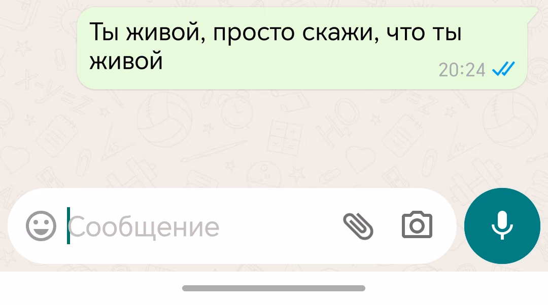 a6ZHU22mB2CSXtKHWblWAUAipxfdf28aDlokRk51.jpg