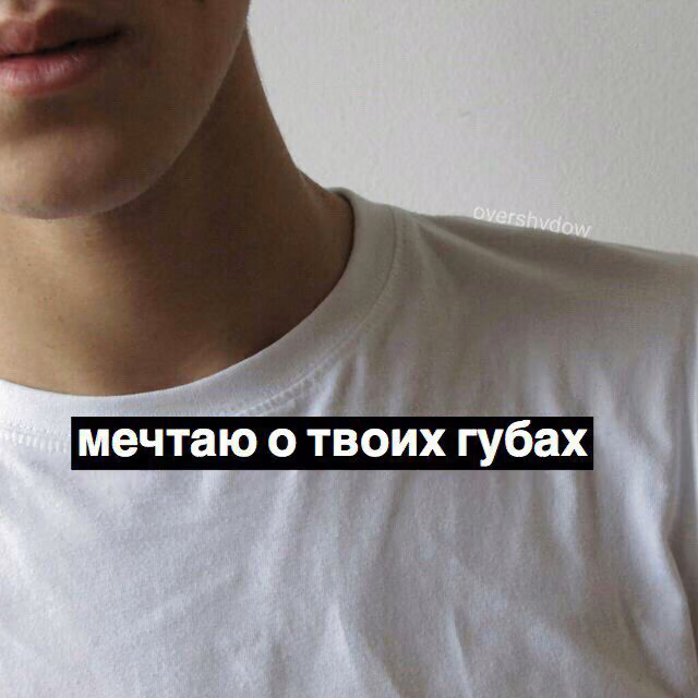 352fed0e6e745a732b28f5207cb57158.avif