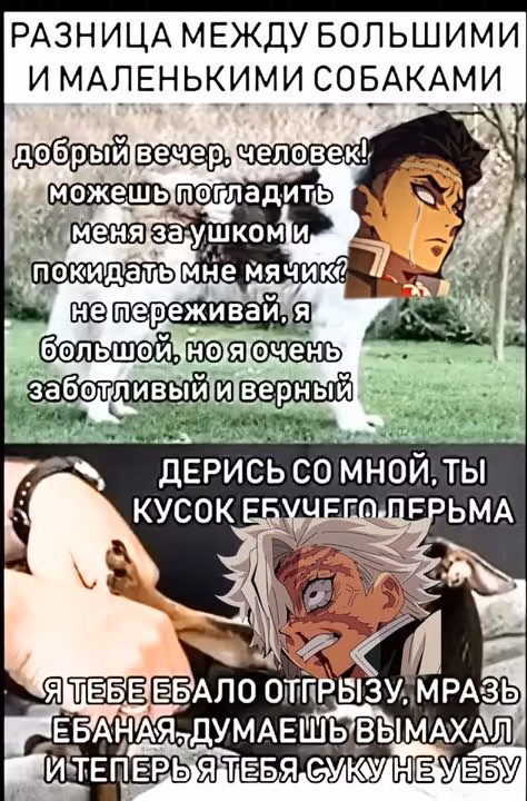 3538172722ceeba87f0bebd359b1f675.jpg
